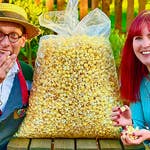 Image for Special Interest programme "Antiques Road Trip"