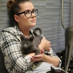 Image for the Nature programme "My Cat From Hell"