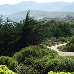 Image for the Gardening programme "Around the World in 80 Gardens"
