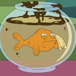 Image for the Animation programme "American Dad!"