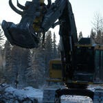Image for episode "Below Zero" from Documentary programme "Extreme Loggers"