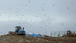 Image for episode "Rubbish Tip Britain" from Documentary programme "Dispatches"
