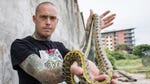 Image for the Nature programme "Snakes in the City"