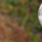 Image for episode "Cornish Surf" from Documentary programme "Shed and Buried"