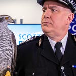 Image for Comedy programme "Scot Squad"