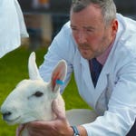 Image for the Documentary programme "This Farming Life"