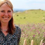 Image for the History Documentary programme "Digging for Britain"