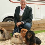 Image for the Entertainment programme "Dogs Behaving (Very) Badly"