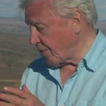 Image for the Nature programme "David Attenborough's First Life"