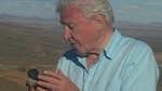 Image for the Nature programme "David Attenborough's First Life"