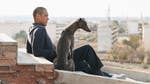 Image for the Film programme "Black Dog"