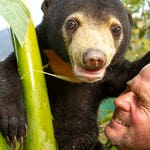 Image for the Nature programme "Bears About the House"