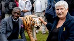 Image for Special Interest programme "Antiques Roadshow"