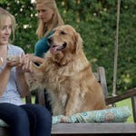 Image for the Film programme "A Housekeeper's Revenge"