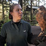 Image for Documentary programme "Alaska Animal Rescue"