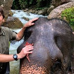 Image for the Documentary programme "Burma with Simon Reeve"