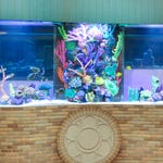 Image for the Documentary programme "Tanked"