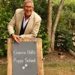 Image for the Entertainment programme "Dogs Behaving (Very) Badly"