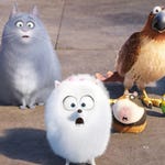 Image for the Film programme "The Secret Life of Pets"
