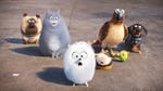 Image for the Film programme "The Secret Life of Pets"