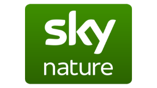 Sky Nature Sky Nature