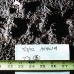 Image for Scientific Documentary programme "Medical Detectives"