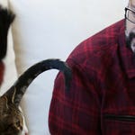 Image for episode "Cats in Isolation" from Nature programme "My Cat From Hell"