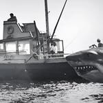 Image for the Arts programme "Jaws @ 50: The Definitive Inside Story"