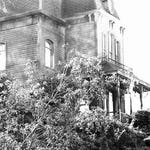 Image for the Film programme "Psycho"