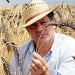 Image for episode "Tomatoes, Risotto Rice, Pork Scratchings" from Cookery programme "Food Unwrapped"