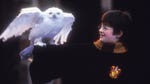 Image for the Film programme "Harry Potter and the Philosopher's Stone"