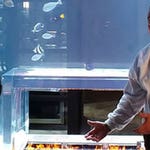 Image for the Documentary programme "Tanked"