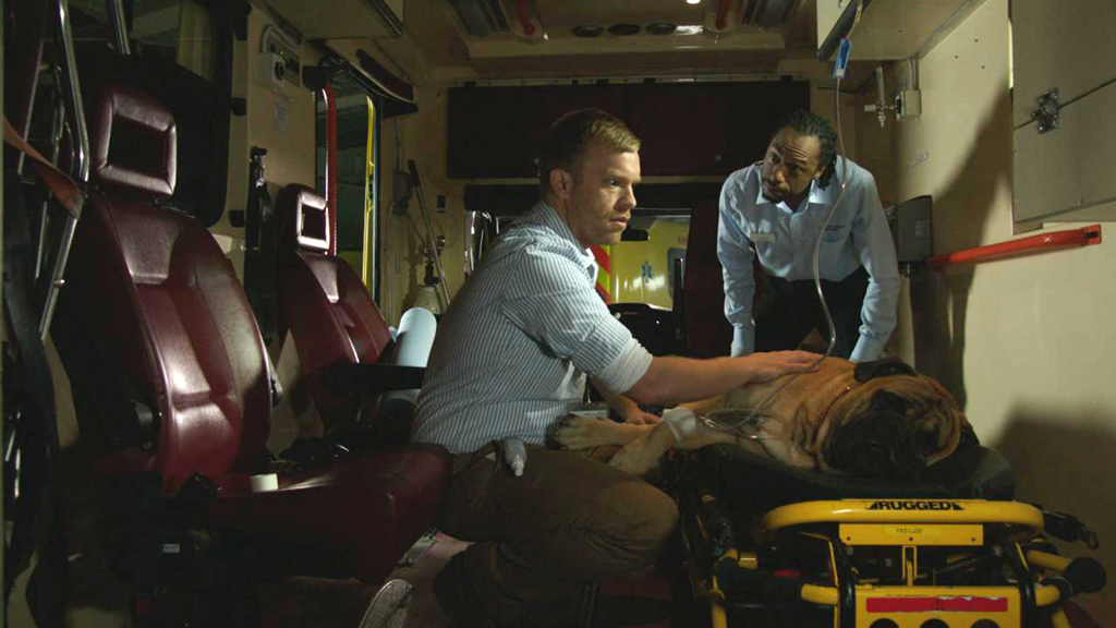 Casualty: Ricochet: What Goes Around Comes Around