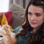 Image for the Film programme "Puppy Love for Christmas"