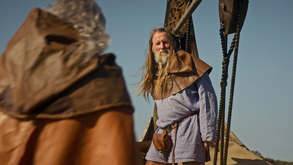 Fire and Blood: The Vikings in Ireland TV Show promotional image