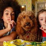 Image for Childrens programme "Waffle the Wonder Dog"