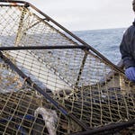 Image for Documentary programme "Deadliest Catch"