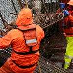 Image for Documentary programme "Deadliest Catch"