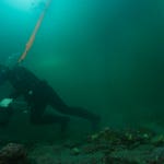 Image for the Documentary programme "Gold Divers"