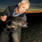 Image for episode "Flesh Ripper" from Nature programme "River Monsters"