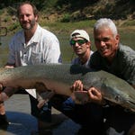 Image for episode "Alligator Gar" from Nature programme "River Monsters"