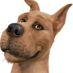 Image for the Film programme "Scooby-Doo!"