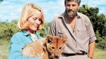 Image for the Film programme "Born Free"