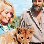 Image for the Film programme "Born Free"