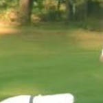 Image for Sitcom programme "My Hero"