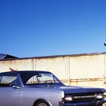 Image for episode "Hampshire" from Documentary programme "Shed and Buried"