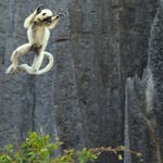 Image for the Nature programme "Airborne"