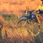 Image for the Nature programme "Deadly 60"