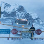 Image for the Film programme "Cold Pursuit"