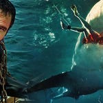 Image for the Film programme "Shark"